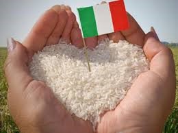 อิตาลีเห็นแย้งต่อคำร้องขอของอินเดียเกี่ยวกับการยกเว้นภาษีนำเข้าข้าวสู่ตลาดสหภาพยุโรป