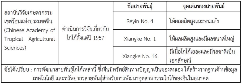 ราคาโกโก้โลกพุ่ง : จีนมองหาแหล่งผลิตใหม่ โกโก้ไทยได้โอกาส?