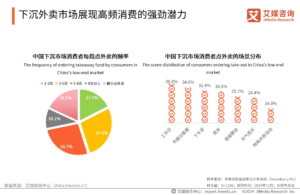 ผู้บริโภคในอุตสาหกรรมบริการจัดส่งอาหารของจีน ประจำปี 2567 - 2568