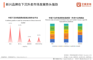 ผู้บริโภคในอุตสาหกรรมบริการจัดส่งอาหารของจีน ประจำปี 2567 - 2568